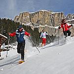 Прогулки на снегоступах - ...насладитесь чистейшим альпийским воздухом