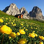 Валь-ди-Фасса летом - Побегать по цветущим альпийским лугам и предаться мечтам в Альпах 