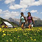 Валь-ди-Фасса - прогулки на природе - Радостный отдых в Альпах