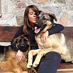 Aki und Kora: unsere Wachhunde