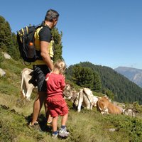Father and daughter trekking on Cermis - Family trekking along Cermis paths
