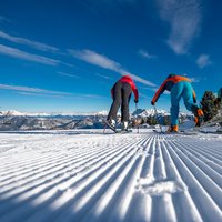 Alle auf zum Skifahren auf der Alpe Cermis - Skiwettbewerb unter Freunden auf den perfekten Cermis-Pisten
